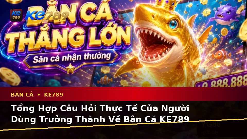 Tổng Hợp Câu Hỏi Thực Tế Của Người Dùng Trưởng Thành Về Bắn Cá KE789 Trên Ứng Dụng Di Động Tại ke789pg.org