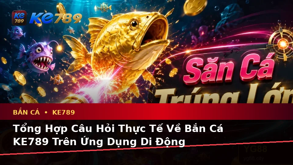 Tổng Hợp Câu Hỏi Thực Tế Của Người Dùng Trưởng Thành Về Bắn Cá KE789 Trên Ứng Dụng Di Động Tại ke789pg.org