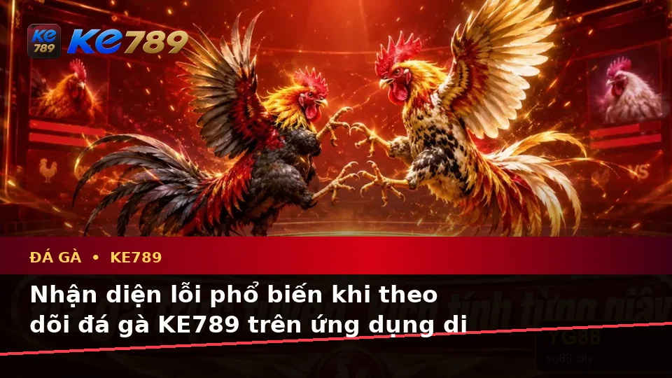 Nhận Diện Lỗi Phổ Biến Và Cách Xử Lý Có Trách Nhiệm Với Đá Gà KE789 Trên Ứng Dụng Di Động Tại ke789pg.org