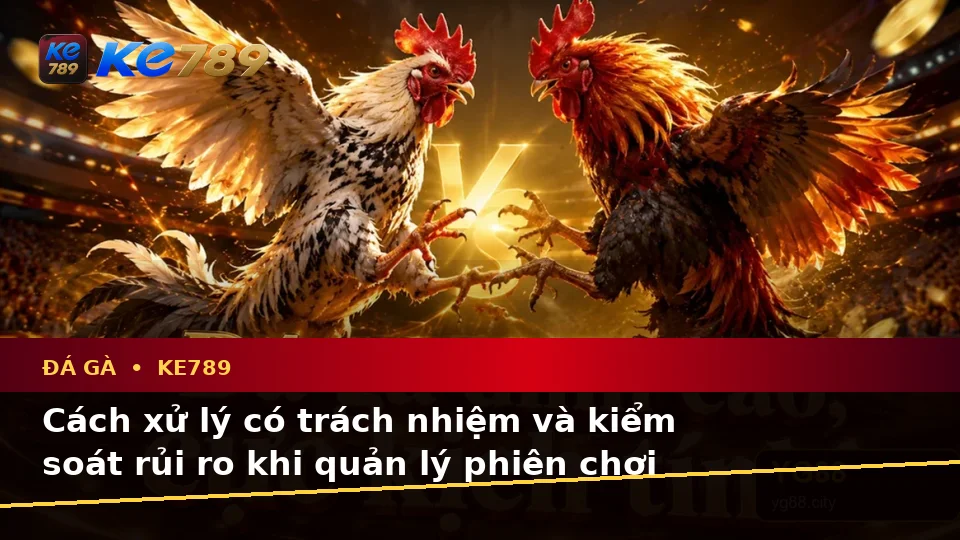 Nhận Diện Lỗi Phổ Biến Và Cách Xử Lý Có Trách Nhiệm Với Đá Gà KE789 Trên Ứng Dụng Di Động Tại ke789pg.org