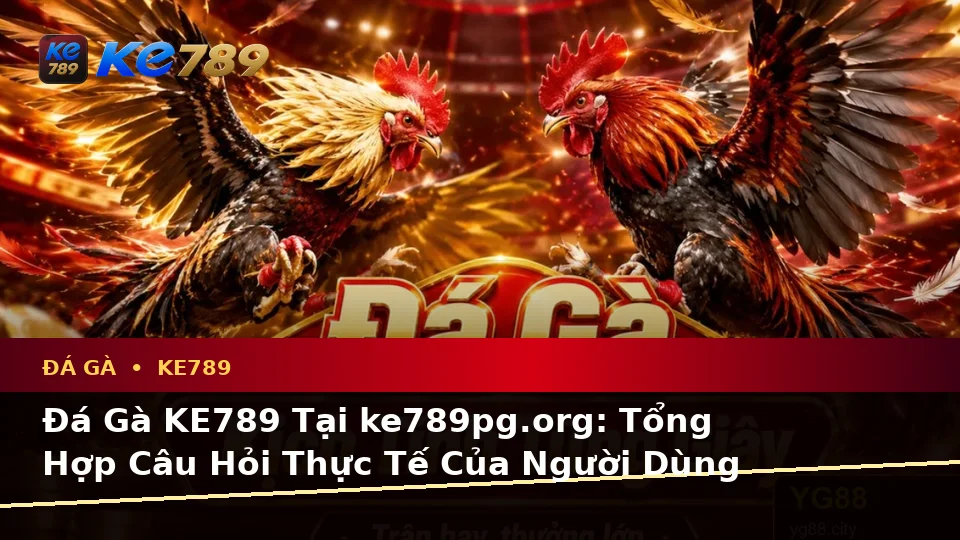 Đá Gà KE789 Tại ke789pg.org: Tổng Hợp Câu Hỏi Thực Tế Của Người Dùng Trưởng Thành Về Đá Gà Trực Tuyến Và Quản Lý Phiên Chơi Trên Ứng Dụng Di Động
