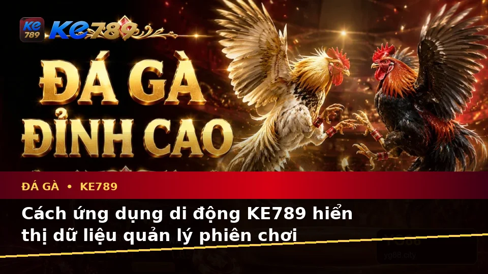 Giải Thích Khái Niệm Và Thuật Ngữ Cốt Lõi Của Đá Gà KE789 Trên Ứng Dụng Di Động: Quản Lý Phiên Chơi Tại ke789pg.org