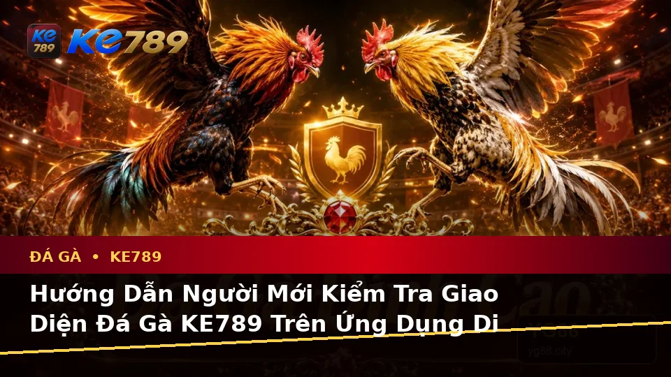 Hướng Dẫn Người Mới Kiểm Tra Giao Diện Đá Gà KE789 Trên Ứng Dụng Di Động Và Quản Lý Phiên Chơi Tại ke789pg.org