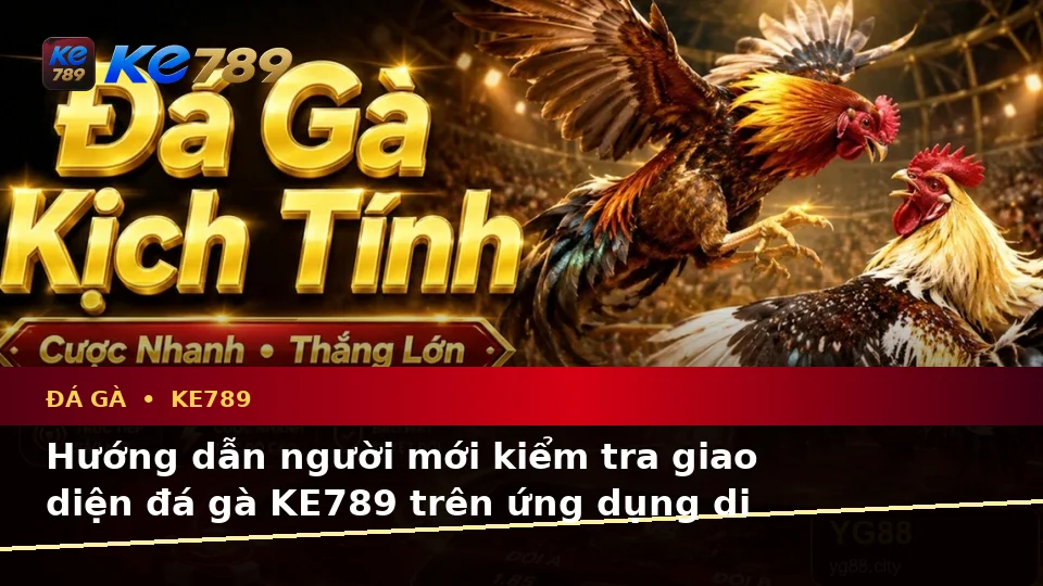 Hướng Dẫn Người Mới Kiểm Tra Giao Diện Đá Gà KE789 Trên Ứng Dụng Di Động Và Quản Lý Phiên Chơi Tại ke789pg.org
