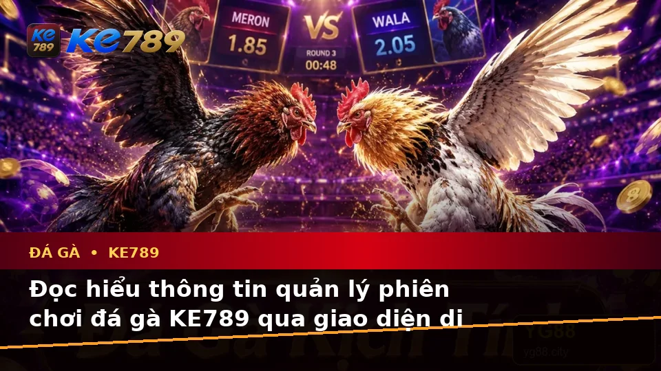 Hướng Dẫn Người Mới Kiểm Tra Giao Diện Đá Gà KE789 Trên Ứng Dụng Di Động Và Quản Lý Phiên Chơi Tại ke789pg.org