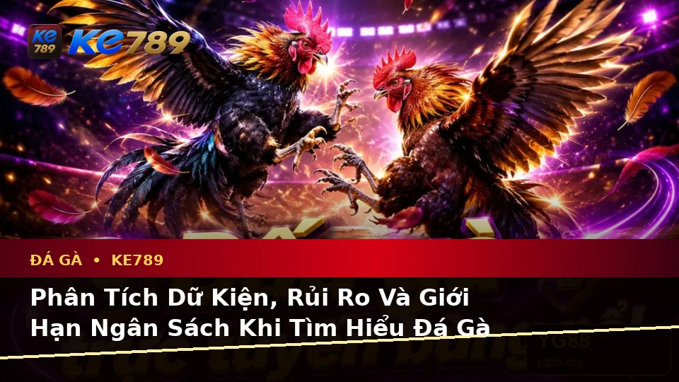 Phân Tích Dữ Kiện, Rủi Ro Và Giới Hạn Ngân Sách Khi Tìm Hiểu Đá Gà KE789 Trên Ứng Dụng Di Động Tại ke789pg.org