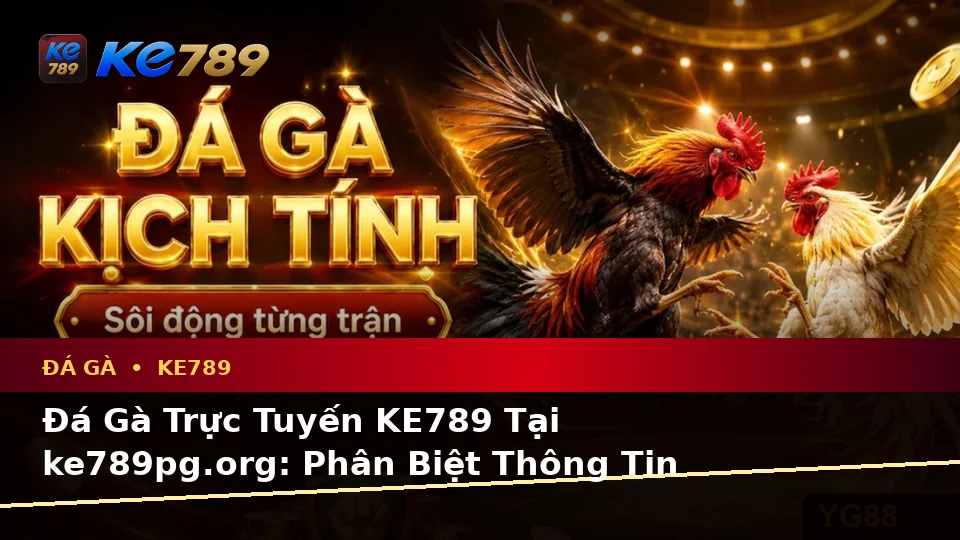 Đá Gà Trực Tuyến KE789 Tại ke789pg.org: Phân Biệt Thông Tin Xác Thực, Quảng Cáo Và Kỳ Vọng Thực Tế Khi Quản Lý Phiên Chơi Trên Ứng Dụng Di Động