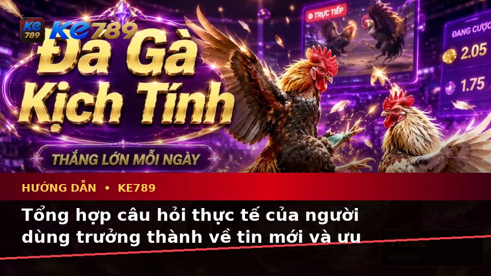 Tổng Hợp Câu Hỏi Thực Tế Của Người Dùng Trưởng Thành Về Tin Mới, Ưu Đãi Và Điều Kiện Khuyến Mãi KE789 Trên Ứng Dụng Di Động Tại ke789pg.org