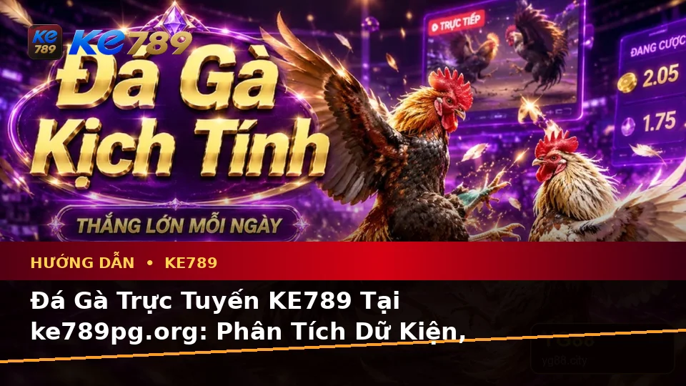Đá Gà Trực Tuyến KE789 Tại ke789pg.org: Phân Tích Dữ Kiện, Rủi Ro Và Giới Hạn Ngân Sách Khi Tìm Hiểu Hướng Dẫn Trên Ứng Dụng Di Động